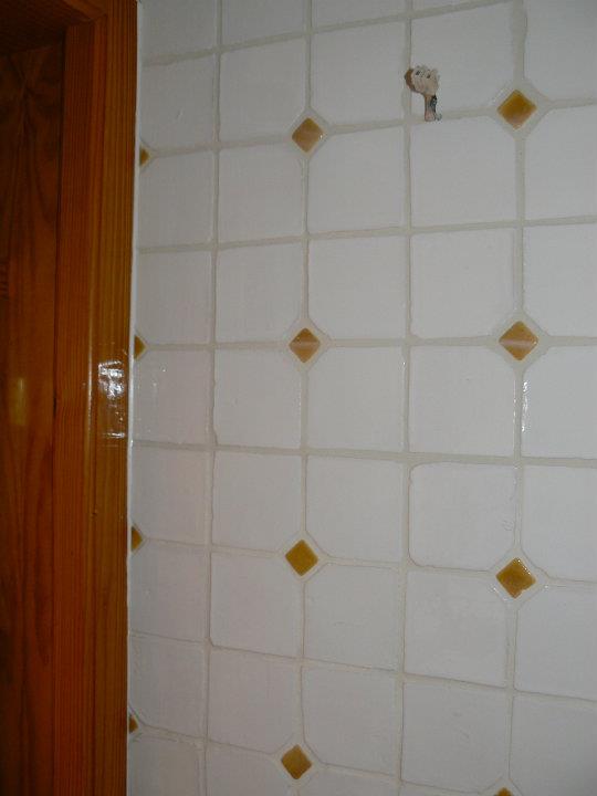 291899_266231073408569_973302519_n